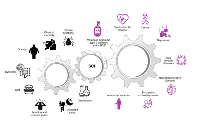 Systemic Chronic Inflammation: Causes and Consequences