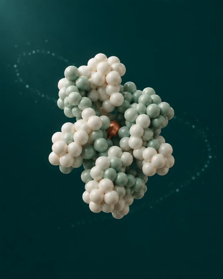 Illustration of an inflammatory protein