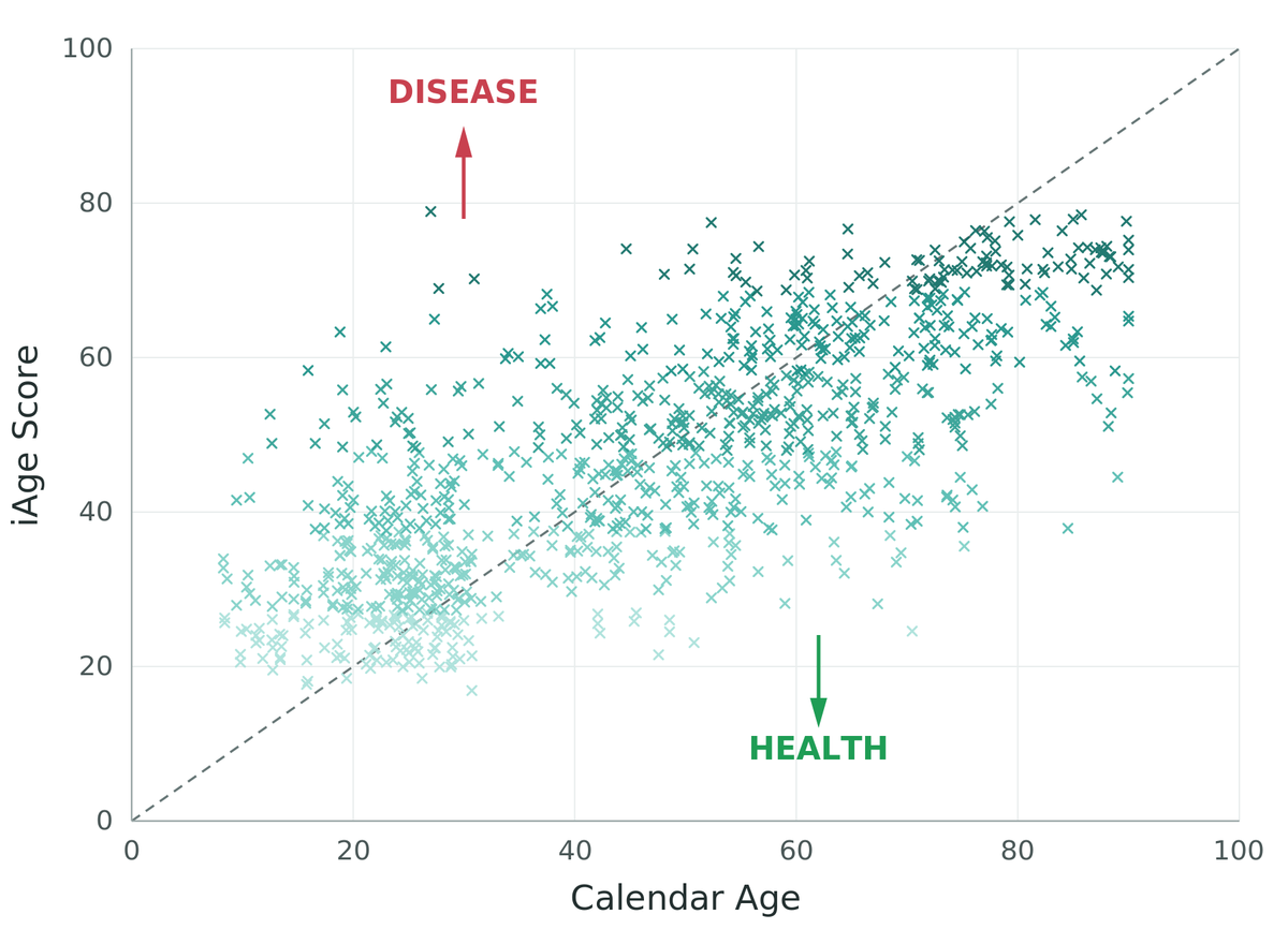 iAge score vs calendar age; points above the diagonal have an iAge higher than their calendar age.