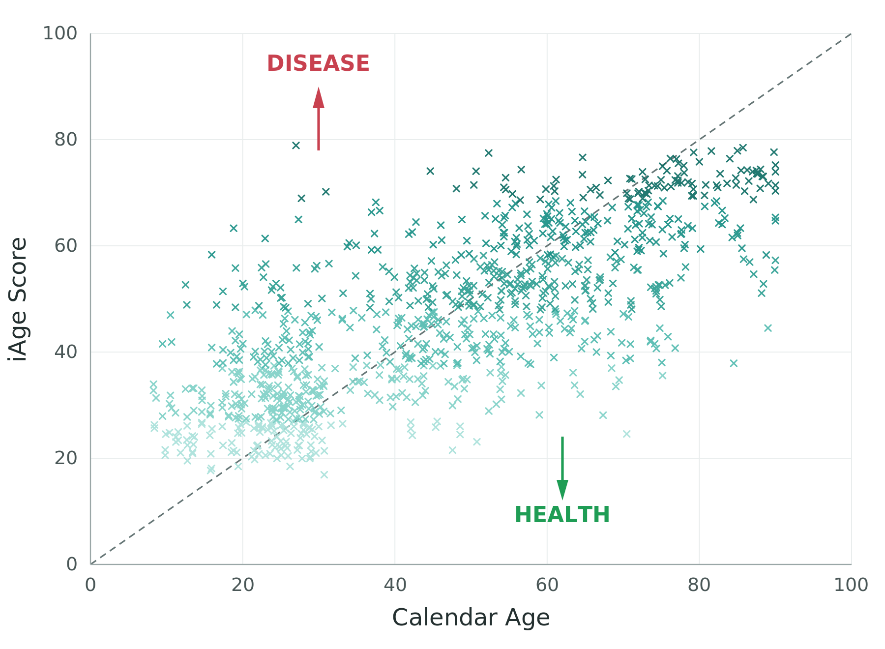 iAge score vs calendar age; points above the diagonal have an iAge higher than their calendar age.